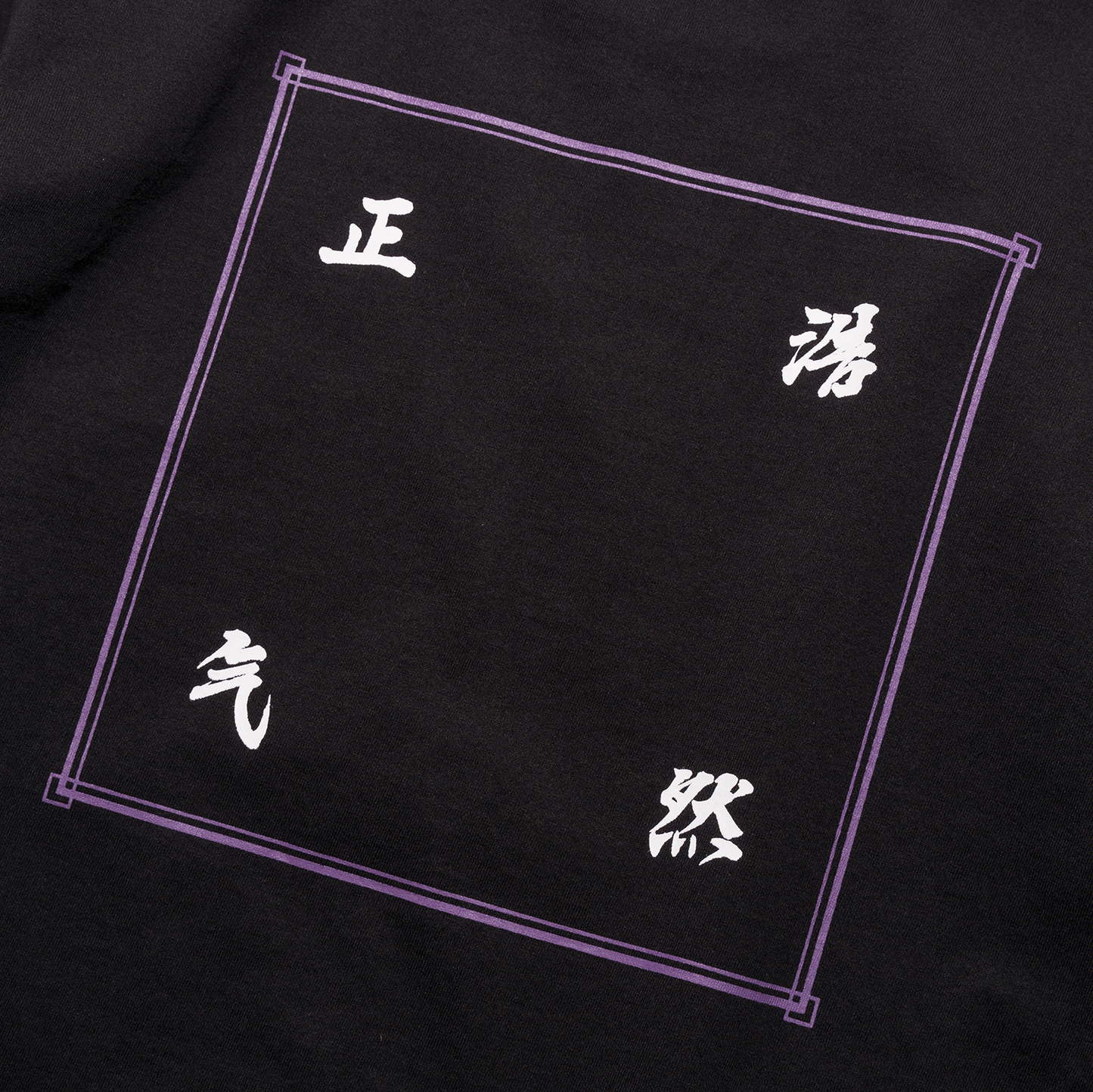 DOE 浩然正气 LS TEE