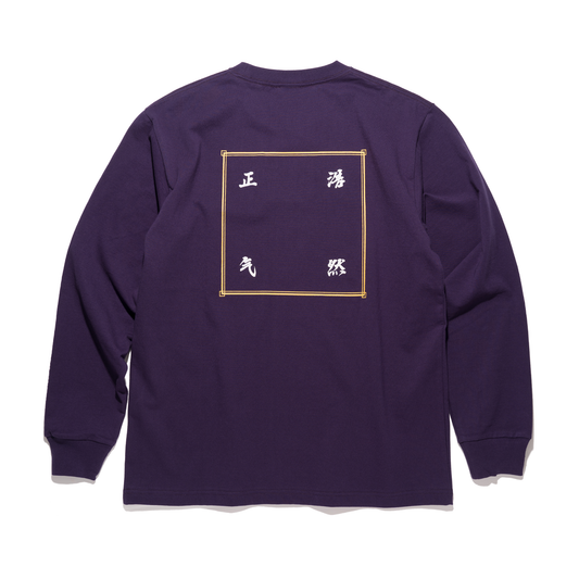 DOE 浩然正气 LS TEE