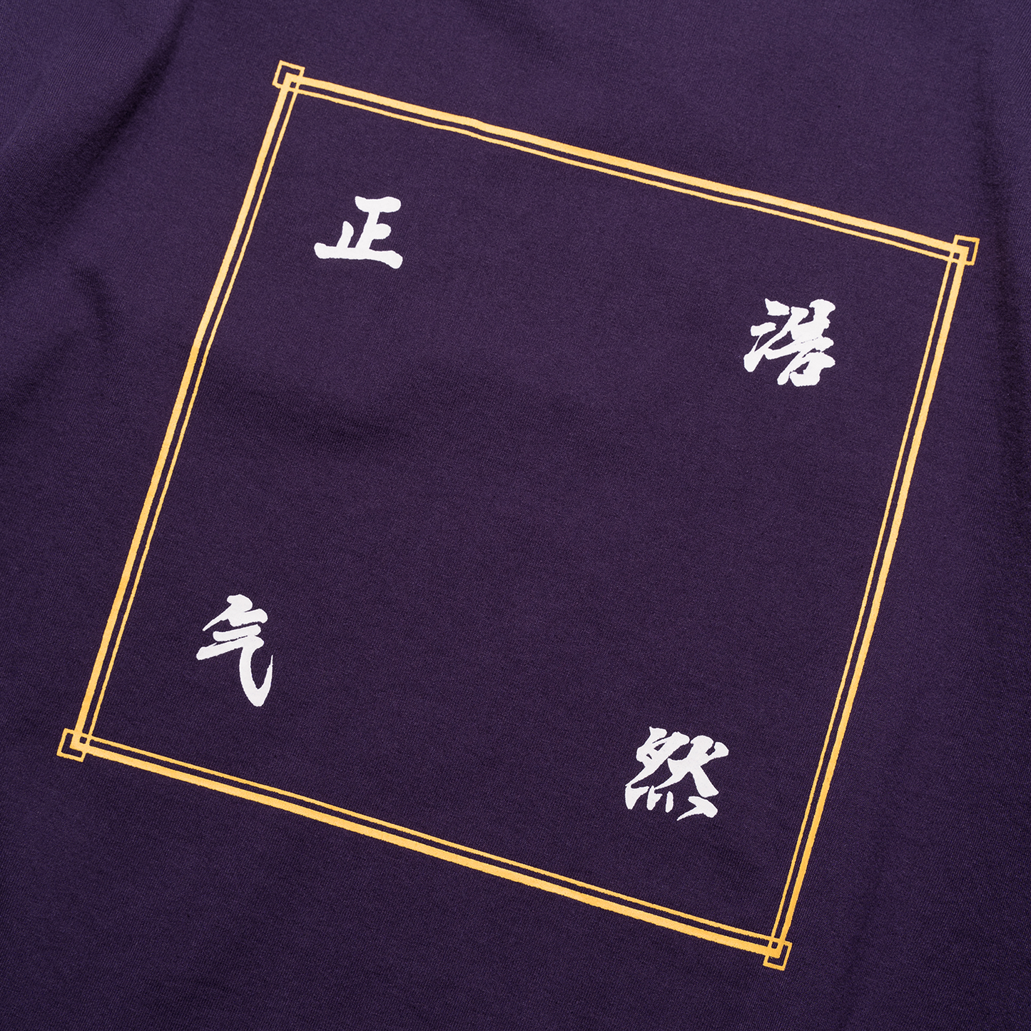DOE 浩然正气 LS TEE