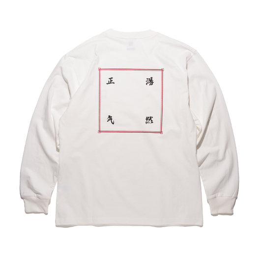 DOE 浩然正气 LS TEE