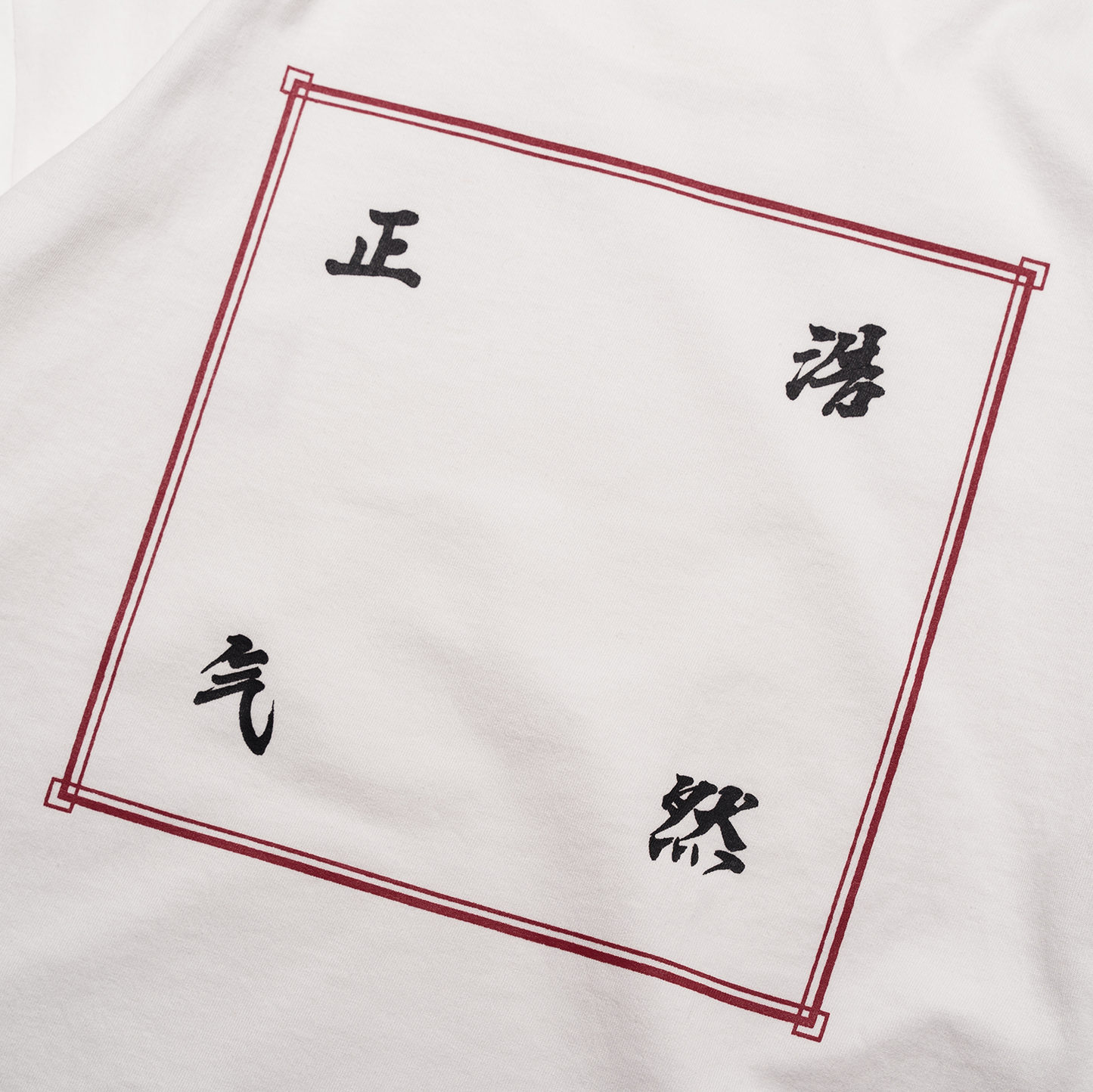 DOE 浩然正气 LS TEE