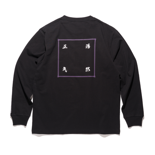 DOE 浩然正气 LS TEE